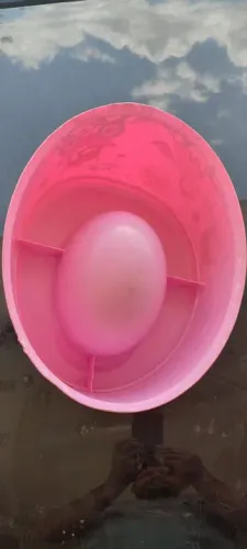Penico infantil para menina (usado).