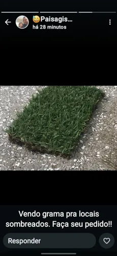 Grama para sombra