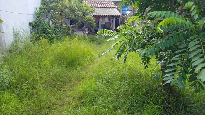 ROÇAGEM E LIMPEZA