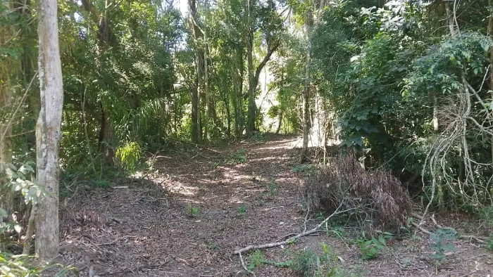 Terreno em Piedade