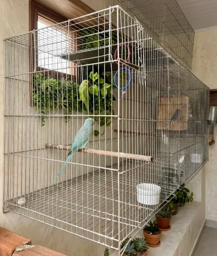 Gaiola voadeira 2 metros