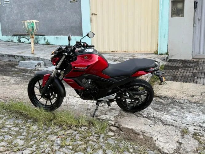 Fz15 2024