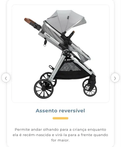 Carrinho De Bebê Infanti Romanzo Moisés Antirefluxo Cinza