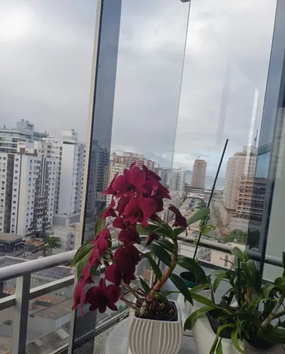 Alugo ótimo quarto para Mulher em apto no Kobrasol