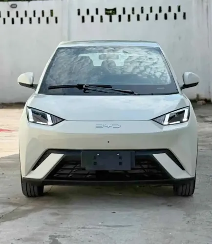 BYD Dolphin Mini (Elétrico) 2025