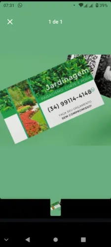 Paisagismo e jardinagem em geral