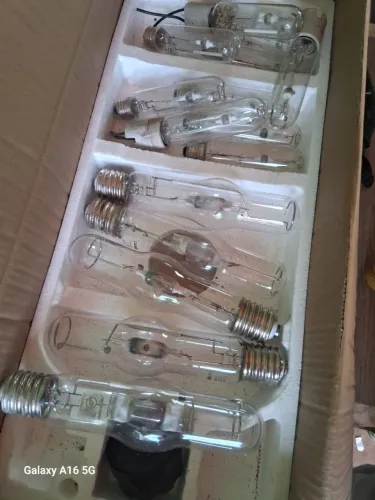 Lampadas