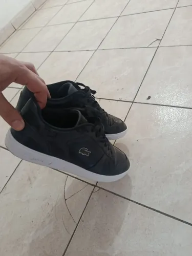 Sapato Lacoste original