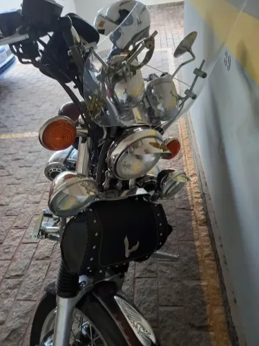 Virago1100