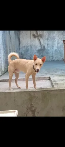 Doação do Luke
