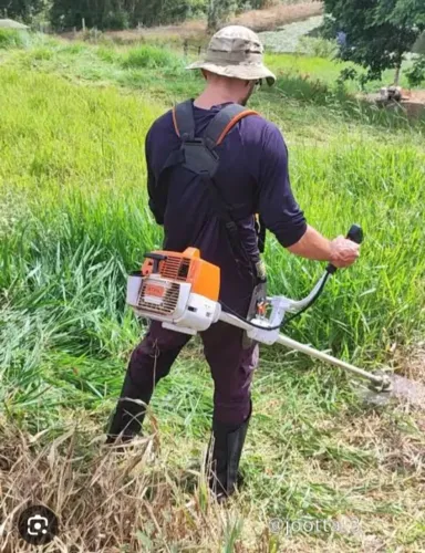 Faço limpeza de lote e sítio