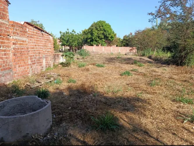 Terreno