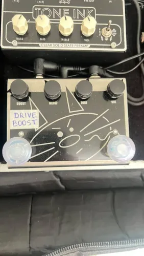 Pedal mad cat