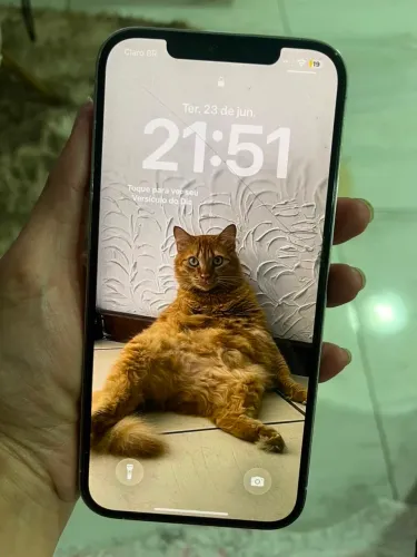 iPhone 12 Pro Max 256GB