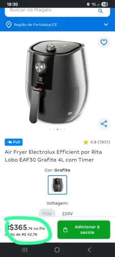 air fryer