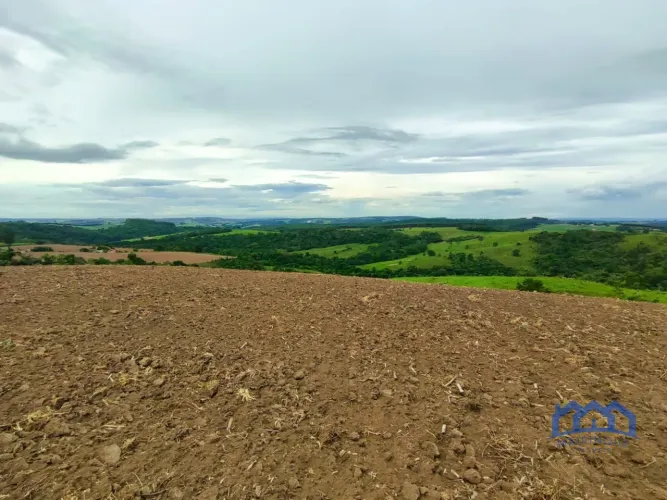 Sítio/Fazenda à Venda, 48,25 alqueires por R$ 4.800.000 Cód. ch1963