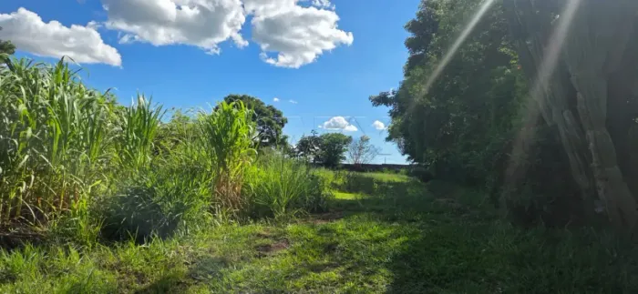 Chácara / venda - 5.000m² - Recanto dos Nobres aberto - Bauru x Agudos - SP