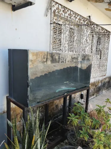 Vender aquário