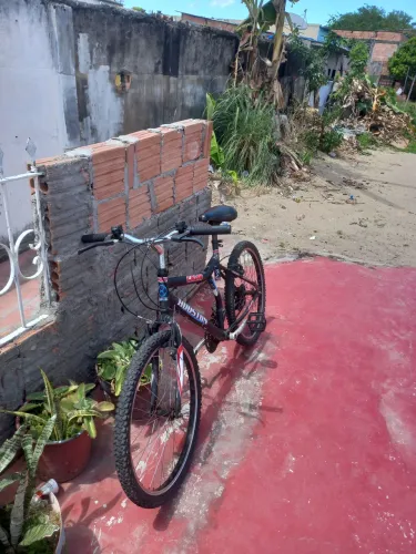 Bicicleta