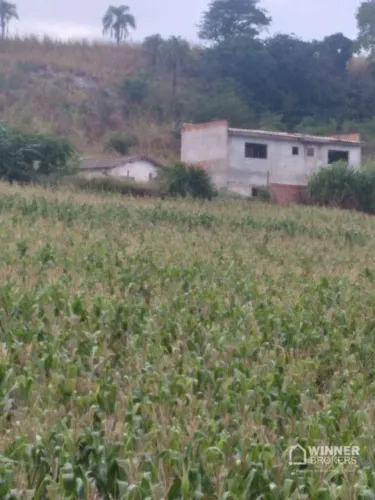 Chácara com 3 dormitórios à venda, 31400 m² por R$ 700.000,00 - Rural - Bom Sucesso/PR