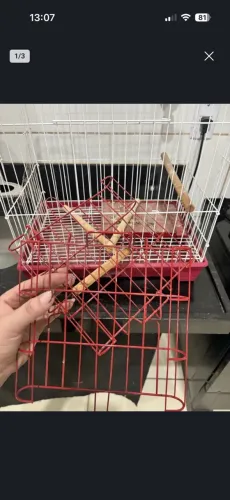 Gaiola para calopsita