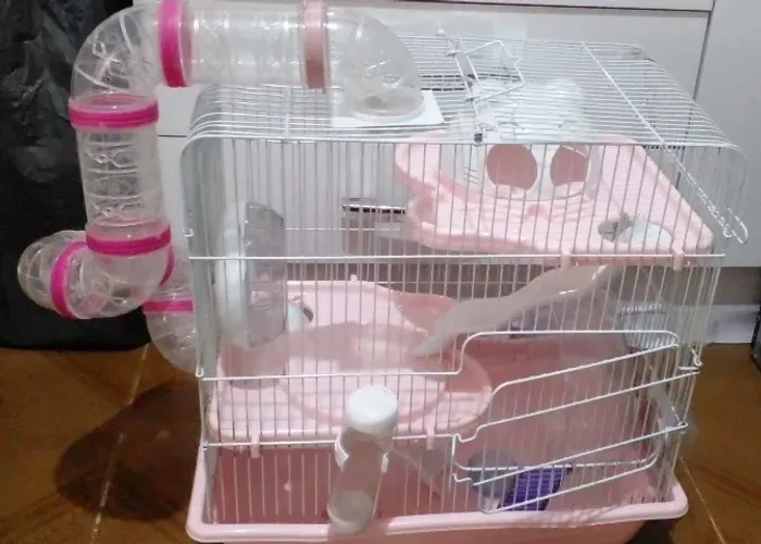 Casa gaiola para hamster
