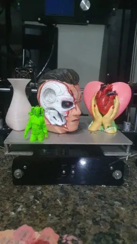 Impressora 3D anet