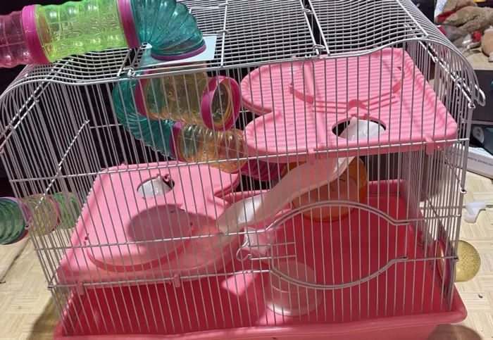 Gaiola gigante para hamster e gerbil