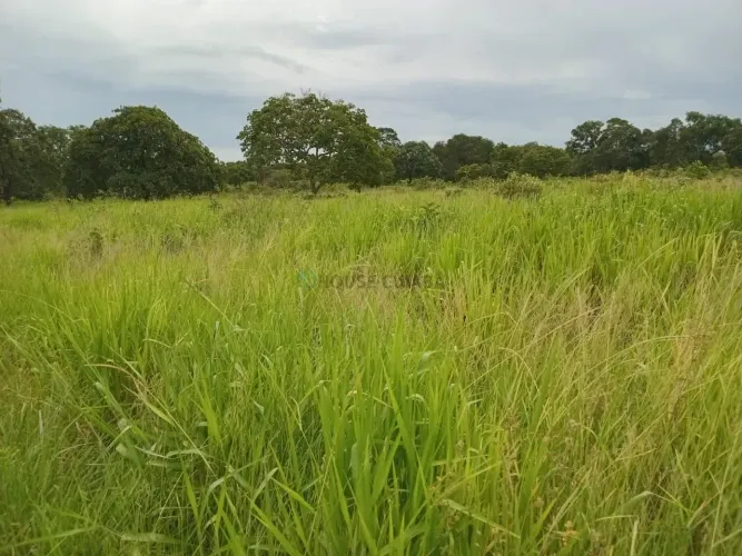 ESTÂNCIA TESSEDA À VENDA  RONDONÓPOLIS / MT