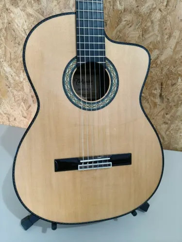 Takamine japones nylon