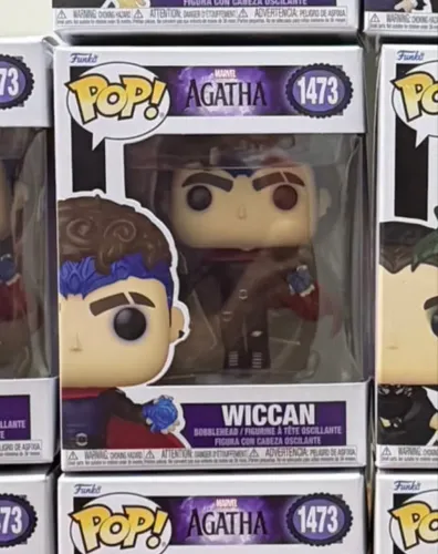 FUNKO POP WICCAN 115