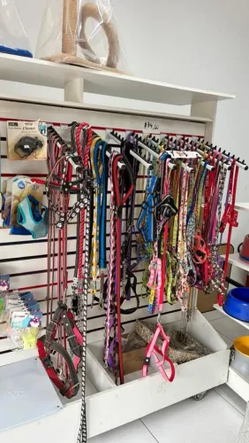 Guias, Coleiras e Peitorais (cachorro e gato) - Vende o lote.