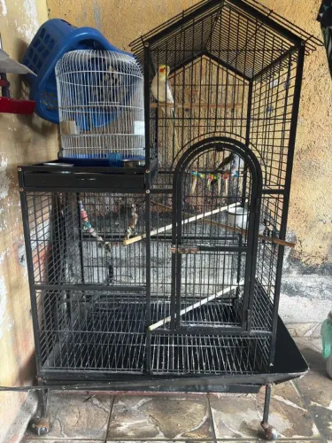 Gaiola para Ring Neck, Papagaio ou Calopsita