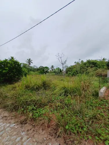 Lote/Terreno/Condomínio em Porto de Galinhas