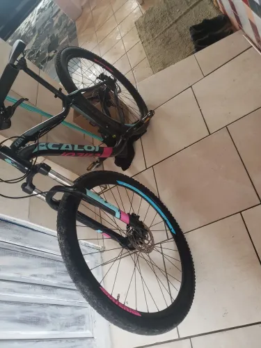 Bike caloi aro 29
