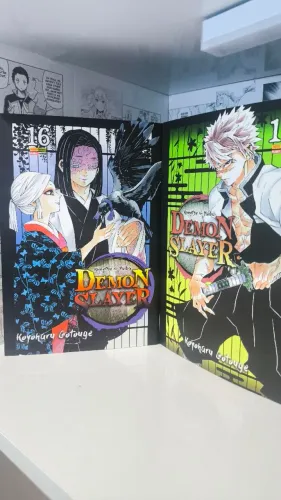 Demon slayer - kimetsu no yaba vol 16,17