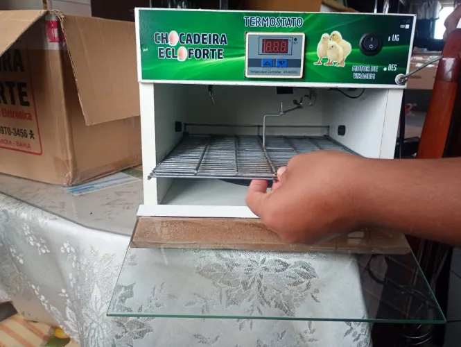 Chocadeira elétrica