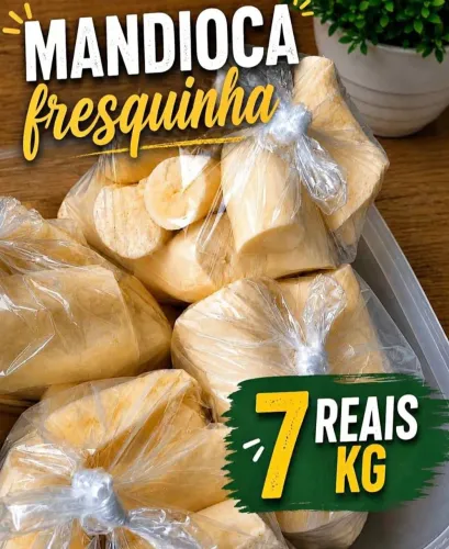Mandioca amarelinha de mesa 
