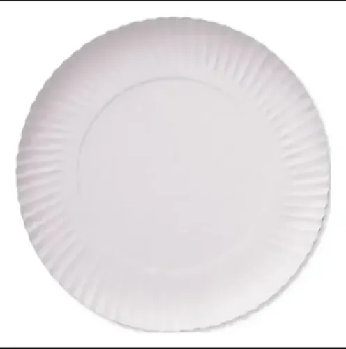 PRATO DE PAPELÃO BRANCO N° 07 COM 100 UNIDADES 28CM BIODEGRADAVEL