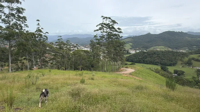 Terreno com vista pra cidade