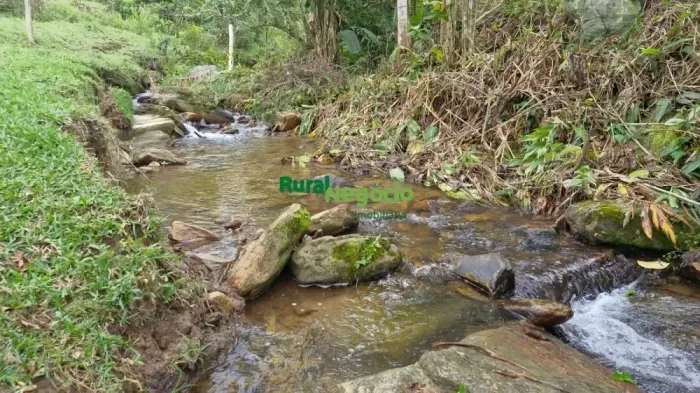 SÍTIO COM  CÓRREGOS E MATA NATIVA NA SERRA DA MANTIQUEIRA NO RIBEIRÃO GRANDE EM PINDAMONHA