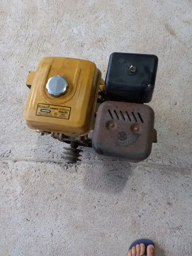Motor estacionário