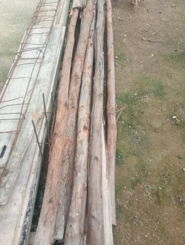 Escoras de lage tamanho 2.80