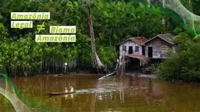 AMAZONAS: Área a venda de 70 mil hectares, com a documentação completa.