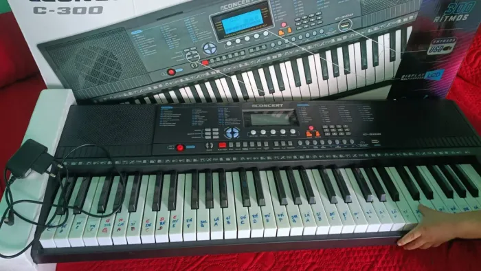 Vendo um TECLADO ? musical semi novo..