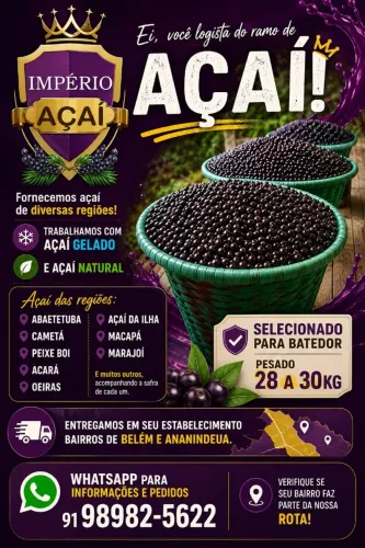 FRUTO de açaí