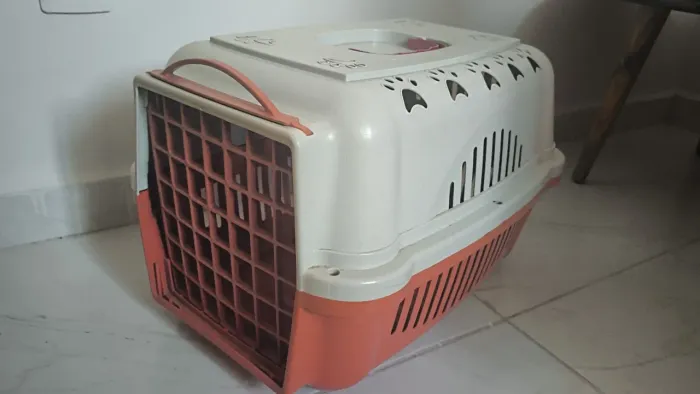 Caixa de transporte para pets