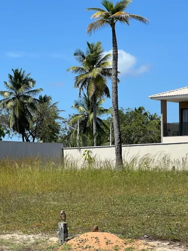 Lote no melhor local do Pecem. VILLA DO PORTO