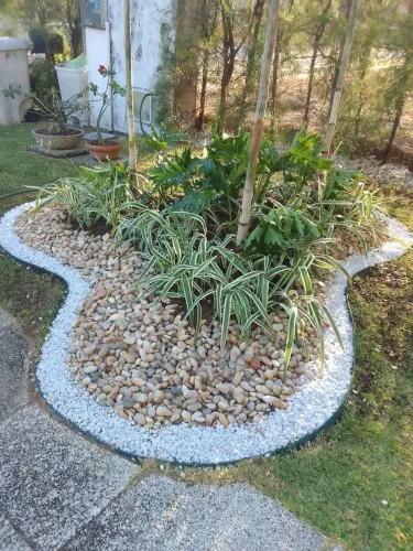Plantas e adubos