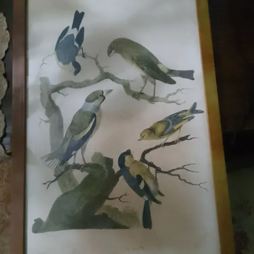 Quadro Pássaros 